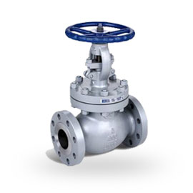 Globe Valve